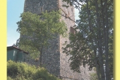 0263_04 - Radyne.indd