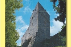 1227_08 - Radyne.indd