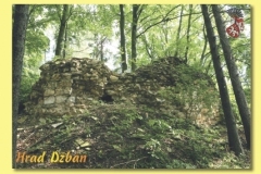 1646_11 - Hrad Dzban.indd