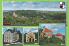 1422_09 - Liba - zluty.indd