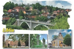 1639_11 - Libin - Smouha.indd