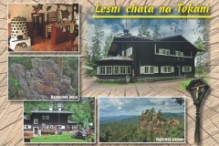 16xx_11 - Tokan - drevo.indd