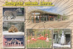 2022_16 - ZOO Liberec - drevo.indd