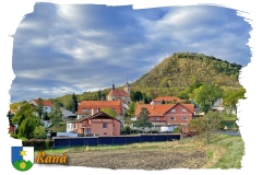 2219_23-Rana-smouha-1