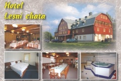 1349_08 - Hotel Lesni Chata - bezova.indd