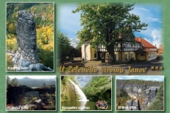 1426_09 - U zeleneho stromu.indd