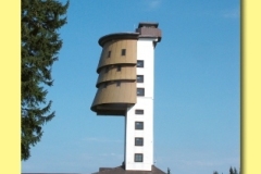 0063-03