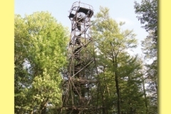 0328-04