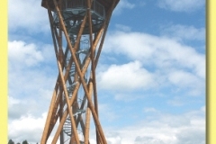 533_05 - Boruvka.indd