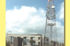 0592_05 - Sylvan.indd