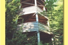 0623_05 - Borova lada.indd