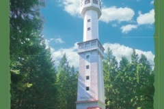 0711_05 - Javornik.indd