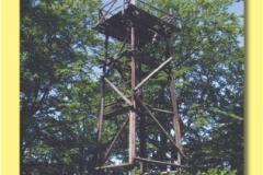 797_06 - Tremsin.indd