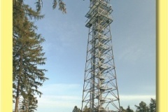 1115_07 - Kozinec - zluty.indd