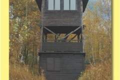 1394_09 - Rezabinec 370 m nm.indd