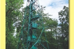 1445_09 - Studenec 736,5 m nm.indd