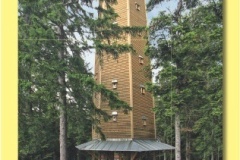 1569_10 - Sedlo 902 m nm.indd