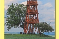 1711_12 - Kralov.indd