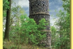 19xx_15 - Bucina.indd