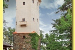 19xx_15 - Diana.indd