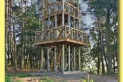 19xx_15 - Babina.indd