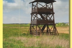 20xx_16 - Novy rybnik.indd