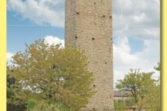 2005_16 - Chrast_zluta.indd