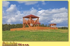 2011_16 - Pohorelec.indd