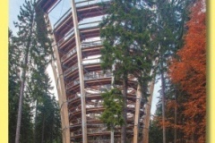 2072_17 - Stezka_korunami_stromu.indd