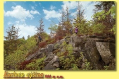 2117_19 - Karlova_vysina.indd