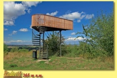 2124_09 - Radovic.indd