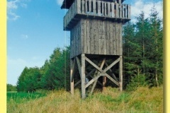 2154_20 - Lenka.indd