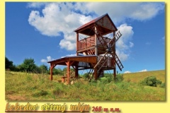 2161_20 - Lebedov.indd