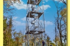 2168_20 - Zaltman.indd